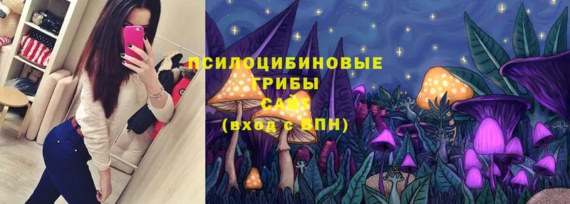 Псилоцибиновые грибы Psilocybe  Канаш 