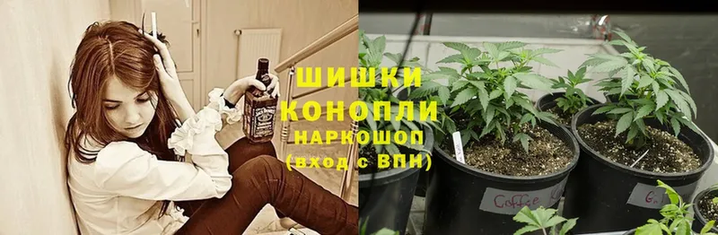 МАРИХУАНА SATIVA & INDICA  Канаш 